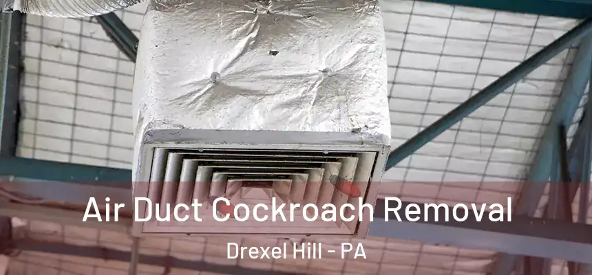  Air Duct Cockroach Removal Drexel Hill - PA
