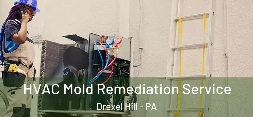  HVAC Mold Remediation Service Drexel Hill - PA