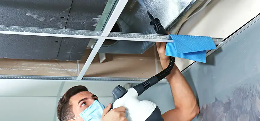 Our Air Duct Rodent Removal Services in Drexel Hill, PA