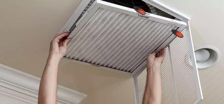 Our Insect Removal from Air Ducts Services in Drexel Hill, PA