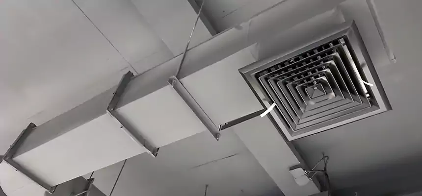 Our Pest Removal From Ducts Services in Drexel Hill, PA