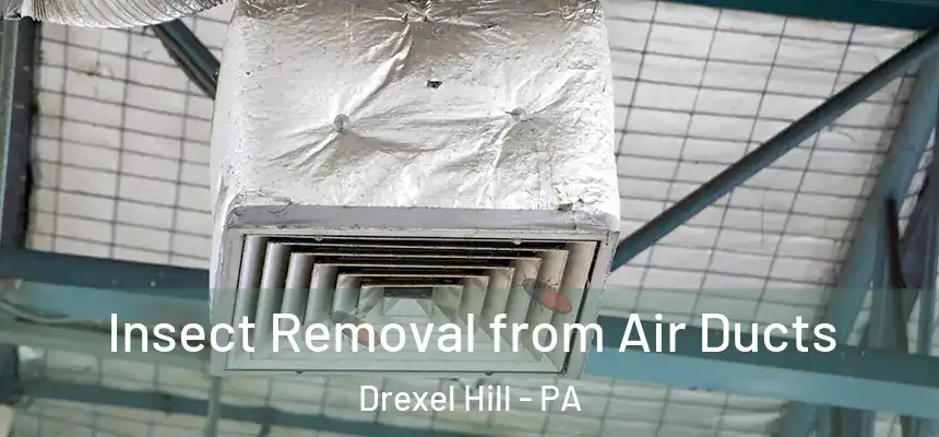  Insect Removal from Air Ducts Drexel Hill - PA