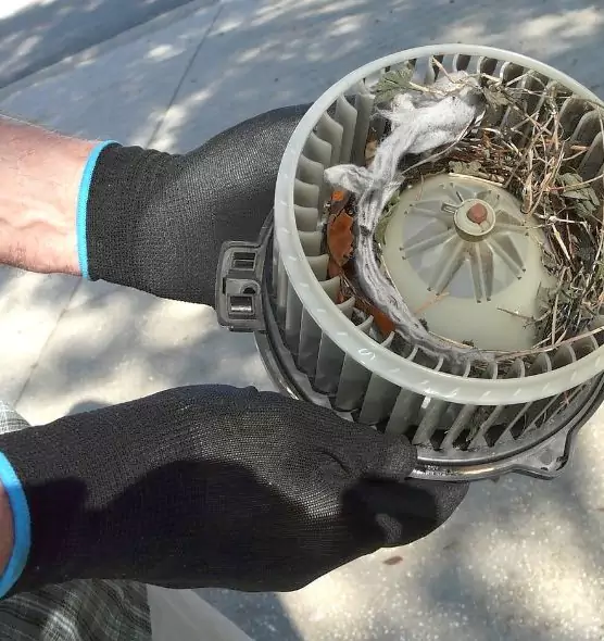 About Air Duct Mice Removal in Drexel Hill, PA