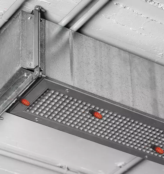 Affordable Insect Removal from Air Ducts in Drexel Hill, PA