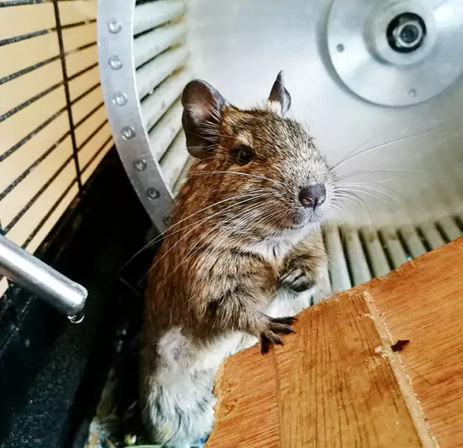 Why Homeowners & Businesses Trust Us Drexel Hill, PA